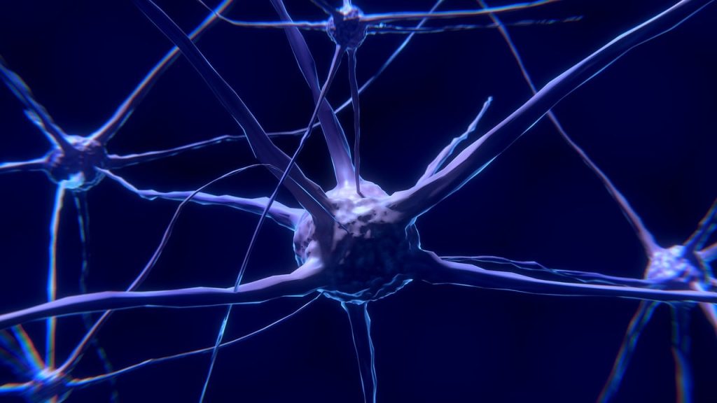 découvrez le monde fascinant de la neuroscience, une discipline qui explore le fonctionnement du cerveau et du système nerveux. plongez dans les dernières recherches, techniques et applications de cette science innovante qui cherche à comprendre la pensée, le comportement et les émotions.