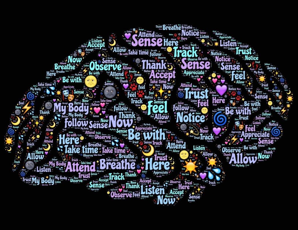 découvrez la neuroplasticité : un incroyable mécanisme du cerveau permettant de s'adapter, d'apprendre et de se réparer en remodelant ses connexions neuronales tout au long de la vie.