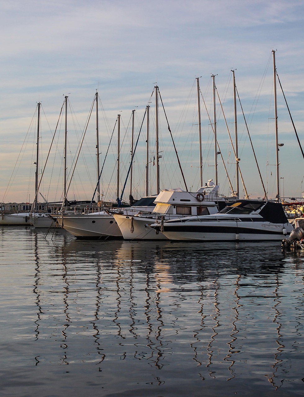 découvrez les réflexes primitifs, leurs rôles dans le développement infantile et comment ils influencent la motricité et le comportement.
