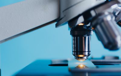 Comment la psychologie Ă©nergĂ©tique clinique peut transformer votre bien-ĂȘtre ?